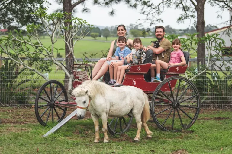 Farm Photoshoots | Pygmy Goat Photo Sessions | Clandulla Cottages
